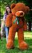 Плюшевый большой медведь Рафаэль, высота 180 см, коричневый