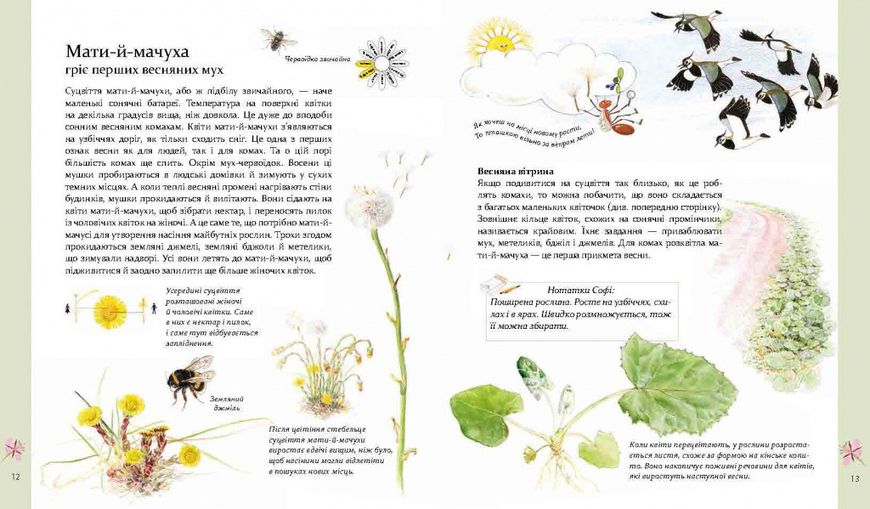 Книга для детей Экспедиция с муравьем Софи (на украинском языке)