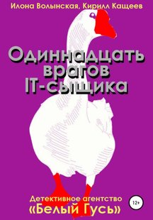 Одинадцять ворогів IT-сищика - Кирило Кащеєв, Электронная книга