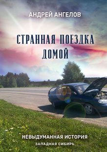 Электронная книга "Странная поездка домой" Андрей Ангелов