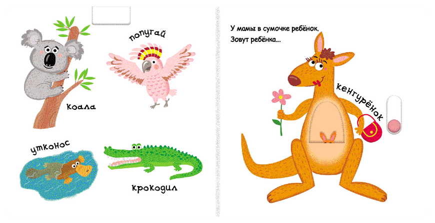 Детская книга Страницы-интересы Зоопарк