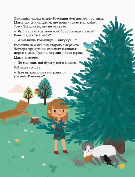 Книга для родителей. Энциклопедия половой жизни. 4-6 лет (на украинском языке)