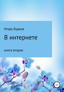 В интернете - Игорь Алексеевич Будков, Электронная книга