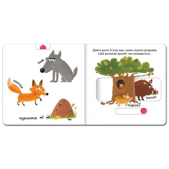 Дитяча книга сторінки цікавинки "Тварини в лісі"