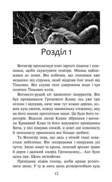 Книга Коты-воины. Путь Огнезора. Специальное издание (на украинском языке)