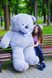 Плюшевий великий ведмідь Ветлі, висота 200 см, сірий