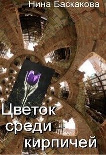 Электронная книга "ЦВЕТОК СРЕДИ КИРПИЧЕЙ" Нина Баскакова