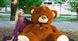 Плюшевый большой медведь Томми, высота 180 см, цвет коричневый