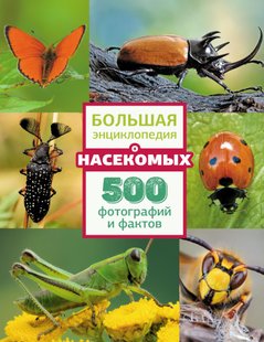 Велика енциклопедія про комах. 500 фотографій та фактів - А. А. Спектор, Электронная книга