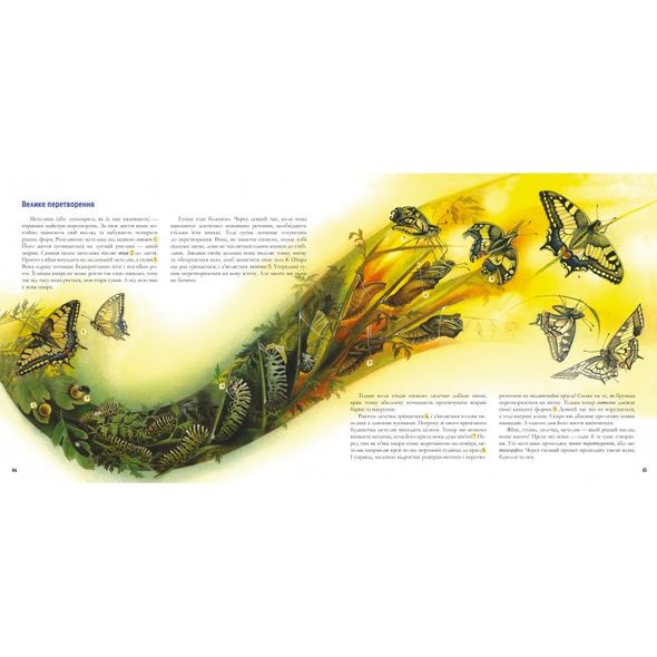 Книга Годинник природи Крізь рік із сонцем метеликами та квітами