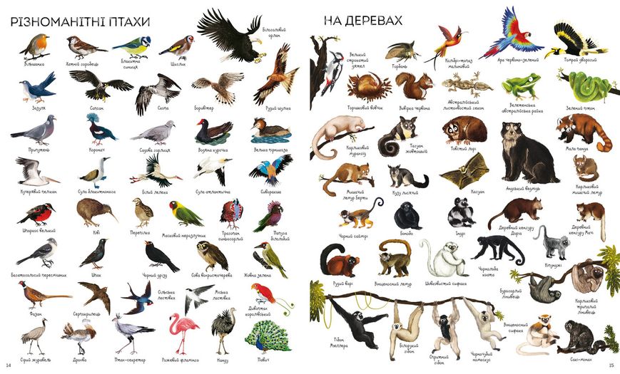 1000 названий животных (на украинском языке)